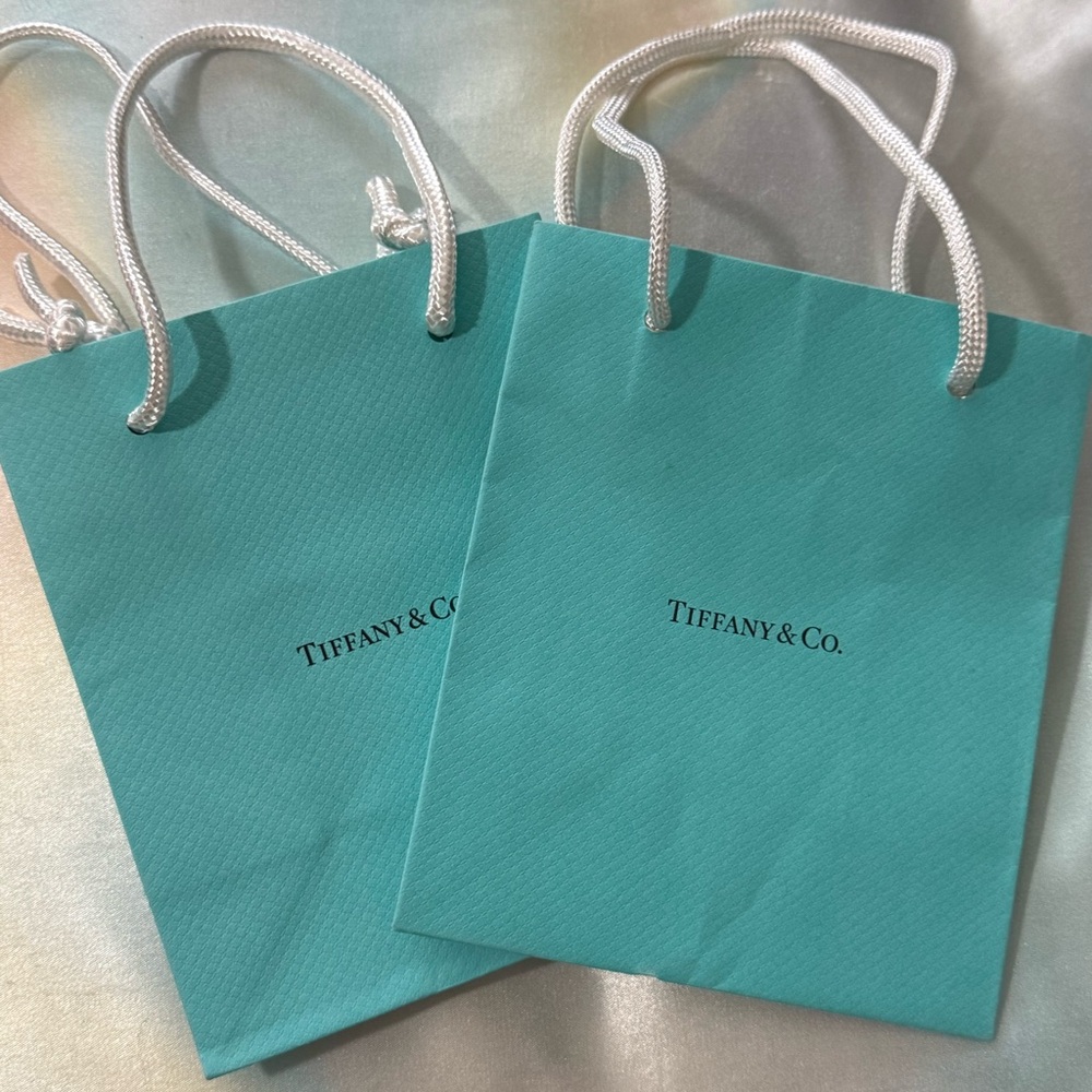 Tiffany & Co. Turquoise Shopping Bag